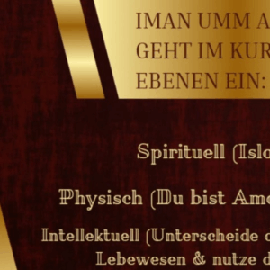 Das entgültige Aufwachen (Selbstbestimmungsfindung Workshop)